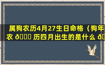 属狗农历4月27生日命格（狗年农 🕊 历四月出生的是什么 🐼 命）